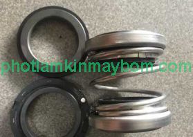 Mua Phốt Máy Bơm Chìm Ở Đâu Chính Hãng?