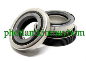 Tìm Mua Phớt Bơm Nước Nóng Ebara Ở Đâu?