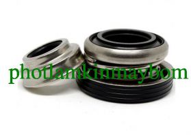 Phớt Máy Bơm Trục Ngang Ebara Chính Hãng Được Phạm Luân Phân Phối