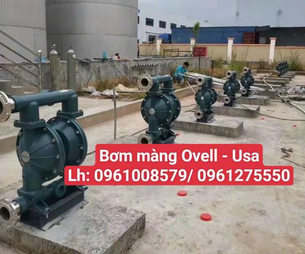 Bơm màng nhôm Ovell A20   2 INCH (Diaphragm pump 2 inch)