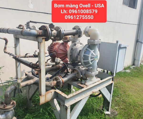 Bơm màng nhựa Ovell A10P 1INCH ( Diaphragm pump)